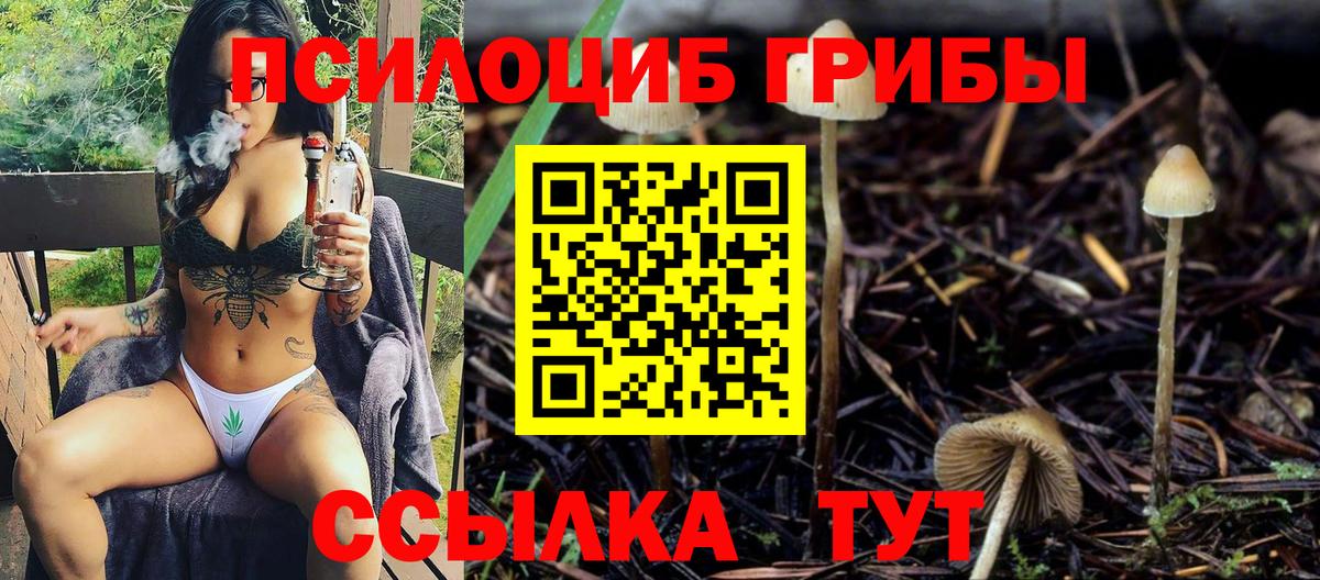 Галлюциногенные грибы Cubensis  Вход с VPN  Курган 